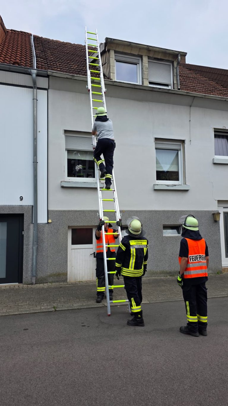 Wind und Böschungsbrände fordern Feuerwehr St. Ingbert