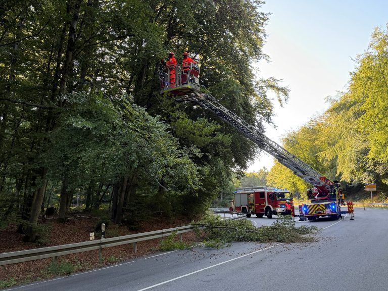 Auslaufende Gefahrstoffe, Einsatz UTV und abstürzende Äste