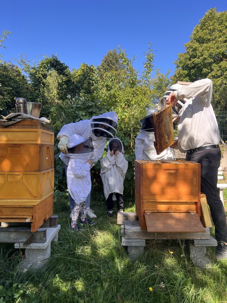 Imker zeigt eine Honigwabe, daneben Kinder und Erwachsene in weißen Imkeranzügen zwischen Bienenstöcken