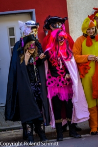 20140302-2014-03.02 Faschingsumzug St. Ingbert-029