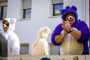 20140302-2014-03.02 Faschingsumzug St. Ingbert-033