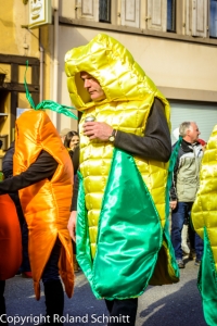 20140302-2014-03.02 Faschingsumzug St. Ingbert-041