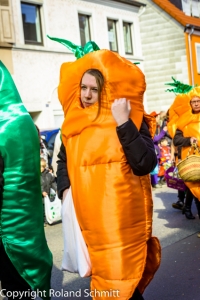 20140302-2014-03.02 Faschingsumzug St. Ingbert-042