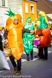 20140302-2014-03.02 Faschingsumzug St. Ingbert-043