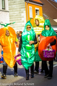 20140302-2014-03.02 Faschingsumzug St. Ingbert-044