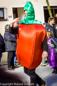 20140302-2014-03.02 Faschingsumzug St. Ingbert-055