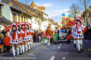 20140302-2014-03.02 Faschingsumzug St. Ingbert-064