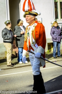 20140302-2014-03.02 Faschingsumzug St. Ingbert-088