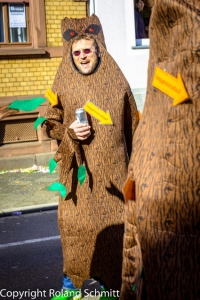 20140302-2014-03.02 Faschingsumzug St. Ingbert-125