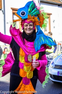 20140302-2014-03.02 Faschingsumzug St. Ingbert-131