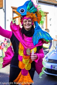 20140302-2014-03.02 Faschingsumzug St. Ingbert-132