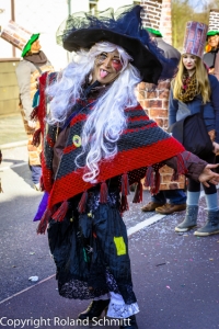 20140302-2014-03.02 Faschingsumzug St. Ingbert-152