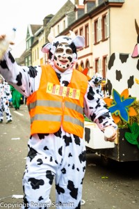 2015-02-15 Faasenachtsumzug-110