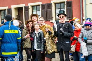 2015-02-15 Faasenachtsumzug-163