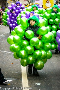 2015-02-15 Faasenachtsumzug-209