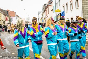 2015-02-15 Faasenachtsumzug-255