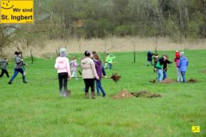 12 April 2018 Baumpfanzakion   16