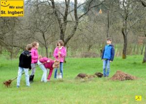 12 April 2018 Baumpfanzakion   25