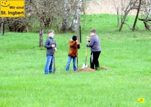 12 April 2018 Baumpfanzakion   27