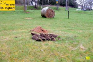 12 April 2018 Baumpfanzakion   3