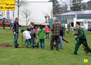 12 April 2018 Baumpfanzakion   31