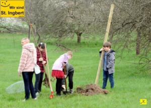 12 April 2018 Baumpfanzakion   42