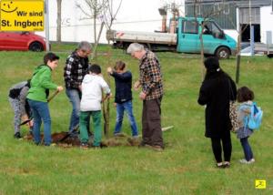 12 April 2018 Baumpfanzakion   47