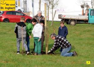 12 April 2018 Baumpfanzakion   50