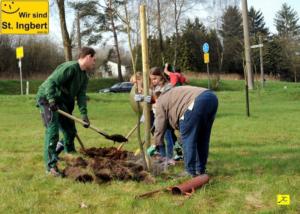 12 April 2018 Baumpfanzakion   51