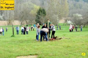 12 April 2018 Baumpfanzakion   55