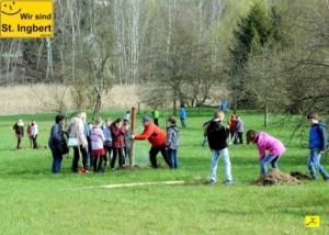 12 April 2018 Baumpfanzakion   62