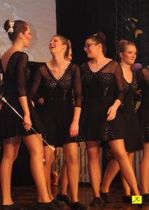 3 Feb 2018 Kappensitzung  (219)