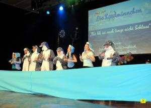 3 Feb 2018 Kappensitzung  (296)