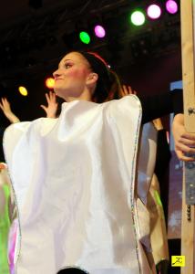 3 Feb 2018 Kappensitzung  (350)