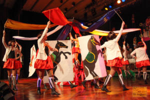 Närrischer Saarpfalzkreis 2019